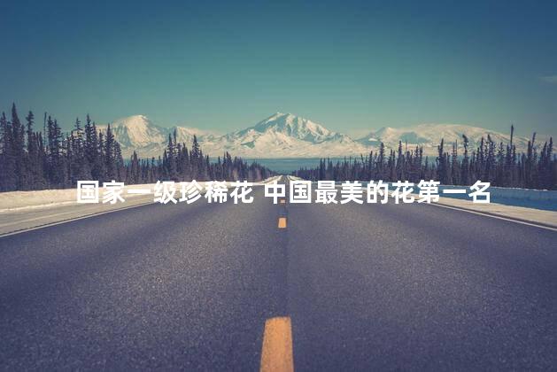 国家一级珍稀花 中国最美的花第一名